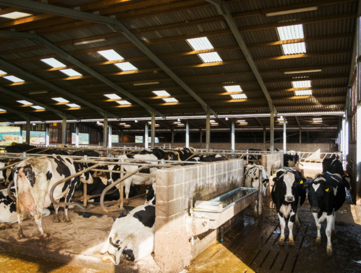 Agricultural and Farm Electrical