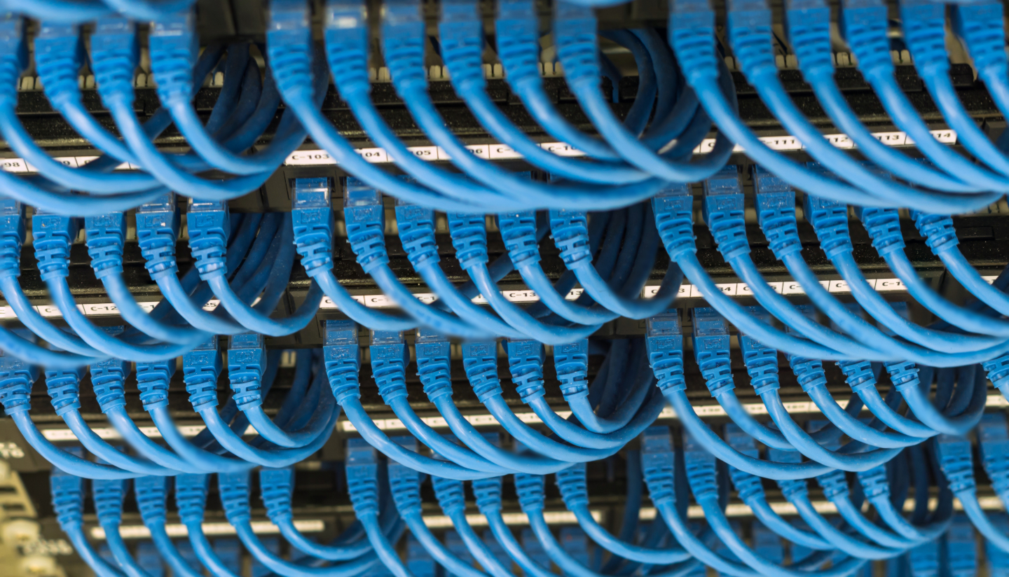 Network Cable in Patch Panel