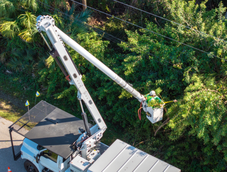 Overhead and Underground Electrical Distribution